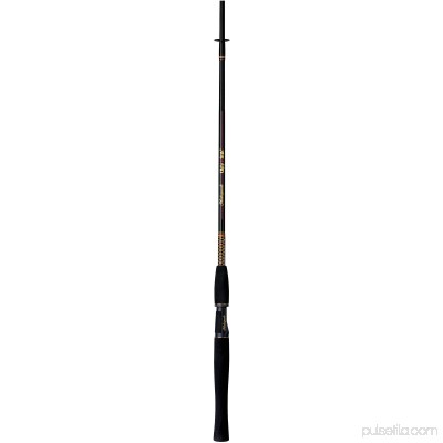 Berkley Fusion Spinning Reel and Fishing Rod Combo 000929875